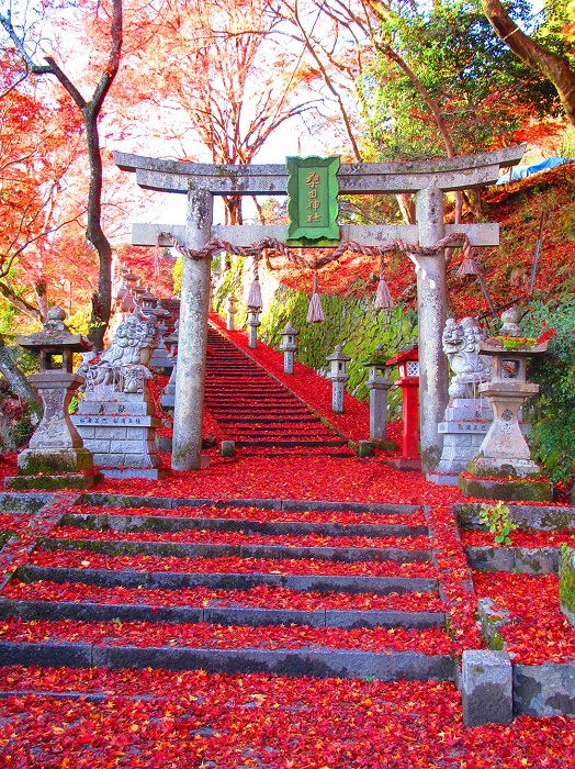 京都・嵐山の紅葉